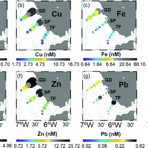 Trace Metals Concentration Nm At Stoca Sampling Stations Along The Download Scientific