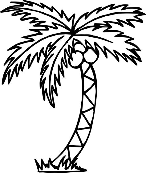 ️free Palm Tree Coloring Pages Free Download