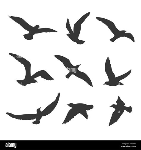 birds icon set outline black  white stock  images alamy