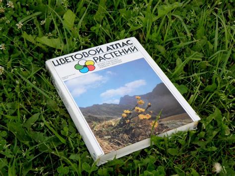 Цветовой атлас растений - подробная информация с фотографиями