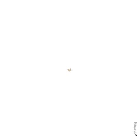 Nude Silhouet Geboortekaartje Jongen En Paard Onder Boom In Foliedruk