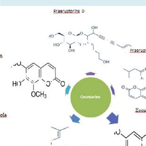 Pharmacologically active coumarin compounds. | Download Scientific Diagram