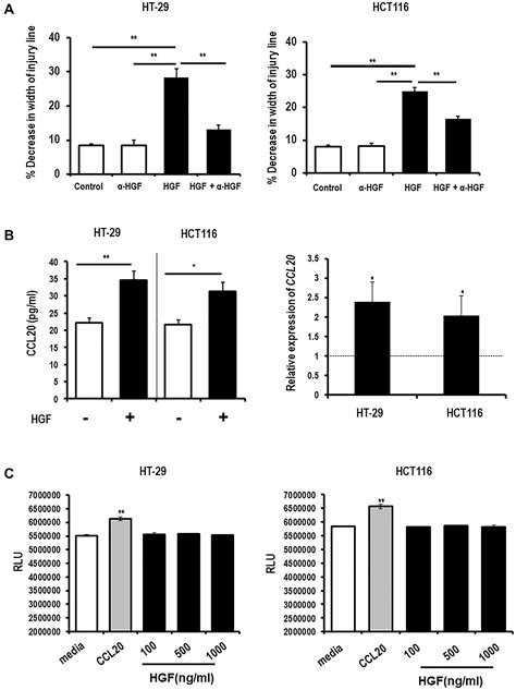 Ccl20 Induces Colorectal Cancer Neoplastic Epithelial Cell