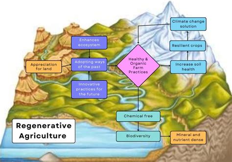 importance  regenerative agriculture  farming sustaino llc