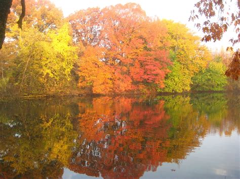 The "lakes" FDR Park... South Philadelphia. PA | Wedding engagement