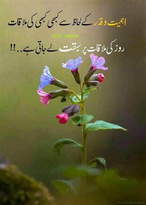 Pin By ANMOL NAZ On Urdu Quotes Good Morning Cards Beautiful