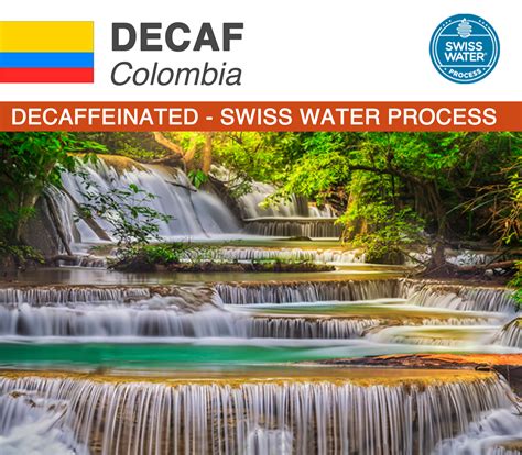 Decaf Colombia Swiss Water | Green Coffee Boxes | Wholesale Origin