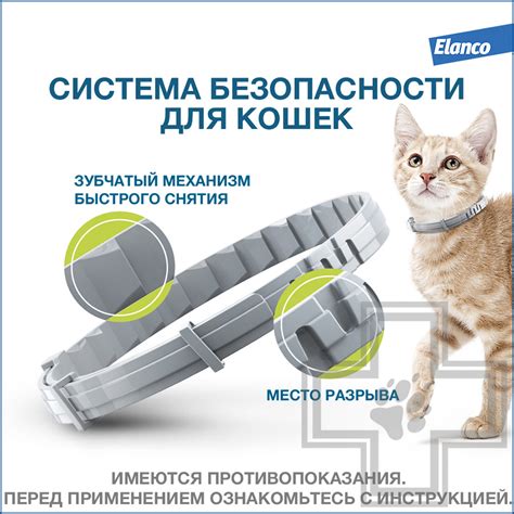 Купить Foresto Ошейник от блох и клещей для кошек - доставка, цена и ...