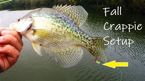 Catch More Fall Crappie With This Rig Triple Crappie Jigs Ep18 Of 30 Day Challenge Youtube