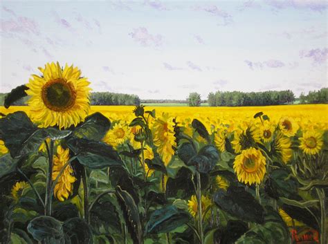 Авторские галереи - Репин Дмитрий Петрович / Подсолнухи / Живопись [Пейзаж]