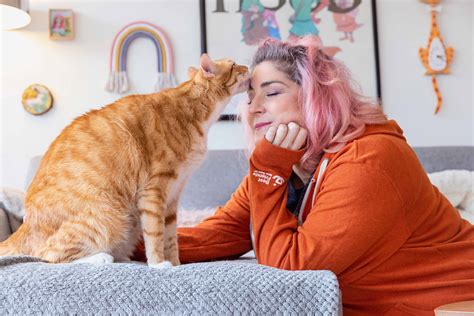 You (yes, you) are a cat trainer | Best Friends Animal Society