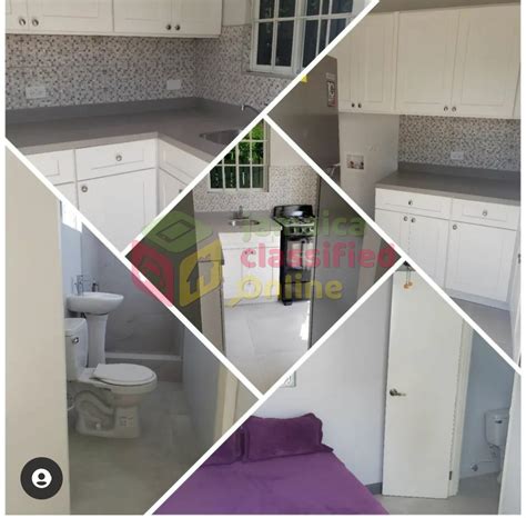 For Rent 1 Bedroom Studio Mona Heights