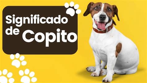 Cuál es el Significado del Nombre Copito para Perro Nombres de Perro