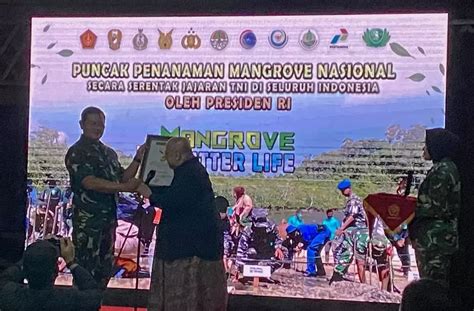 Tanam Sejuta Pohon Mangrove TNI Meraih Rekor Muri