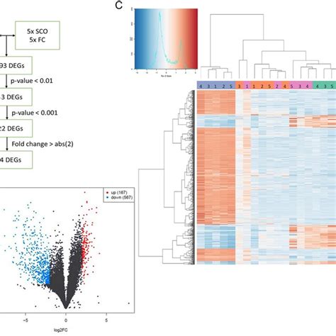 Gene Expression Analysis Comparing Fibrotic And Non Fibrotic Testis