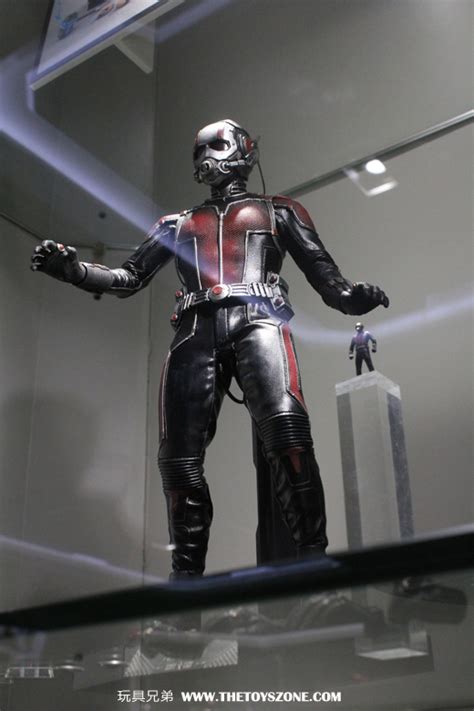 新品消息 Hot Toys蟻俠蟻俠 Ant Man 1 6 珍藏人偶 Toys Zone D 玩具兄弟 Figures Price List Reviews