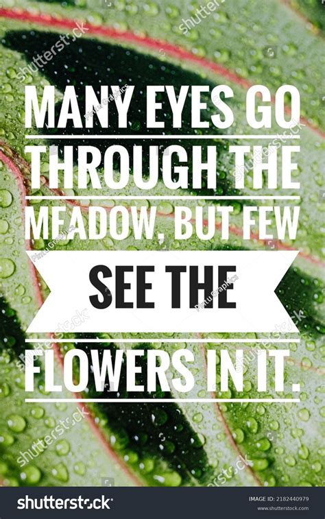 Inspirational Motivational Quotes Nature Background Stock Photo ...