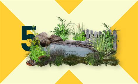 5 идей для летнего пруда в сад. - OLX.kz Блог