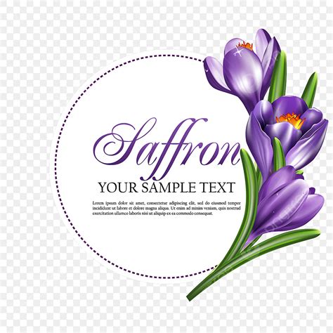 Saffron Png Vector Psd And Clipart With Transparent Background For