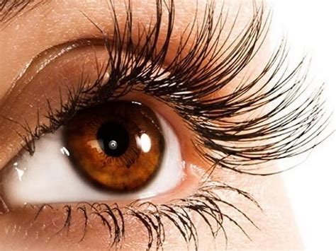 Semi Permanent Lashes Aspire Beauty Academy Sunderland Beauty