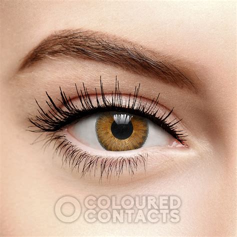 Freshlook Colorblends Honey Brown Prescription Contacts Monthly