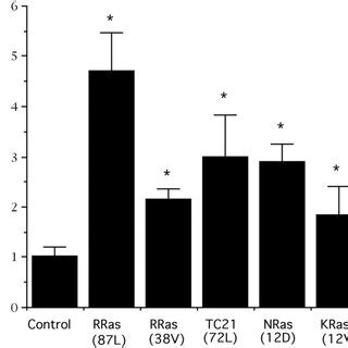 R-Ras and Ras family members stimulate invasion. Cells expressing ...