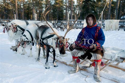 Vassilly Pyak A Forest Nenets Reindeer Herder Dressed In Traditional