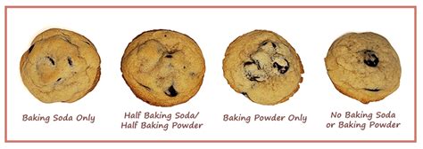 Experiment Baking Soda Vs Baking Powder Laura S Bake Lab