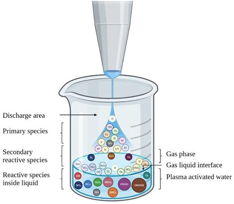 frontiers applications  water activated  ozone electrolysis