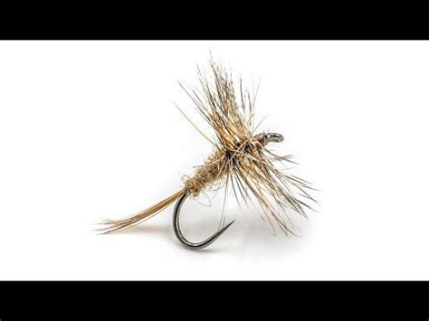 Lavezzinifly March Brown Fly Tying YouTube Fly Tying March