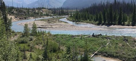 Simpson River to Surprise Creek Cabin, British Columbia, Canada - 13