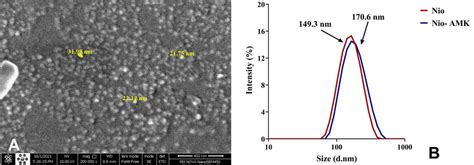 Morphological determination of optimized formulation. A SEM (Scanning ...