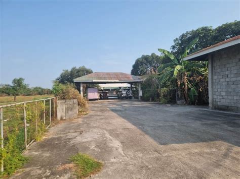 Piggery Farm Property For Sale House And Lot On Carousell