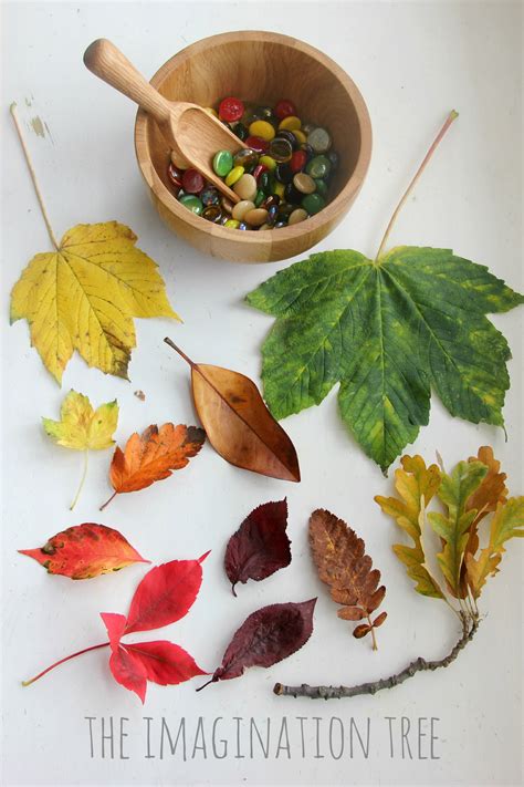 Autumn Leaves And Gems Colour Sorting Activity The Imagination Tree