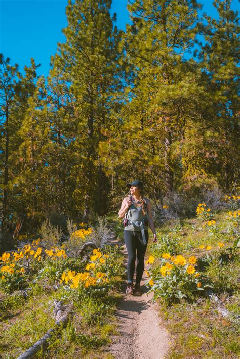 Hiking Photography Tips And Tricks The Wandering Queen