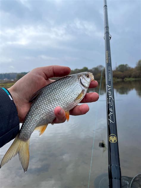 Удилище пикер "Volzhanka Pro Sport 9ft 30+" 2.7м (2секции+3) тест 30гр ...