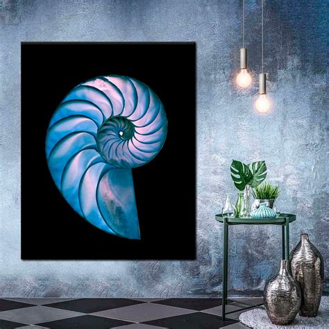 Nautilus Shell Wall Art | Photography