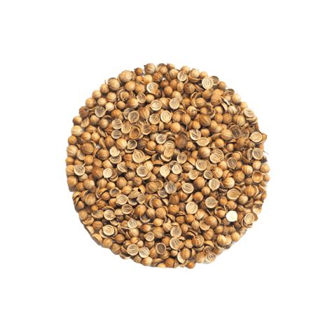 Microgreens & Grünkraut | microgreen-shop.com