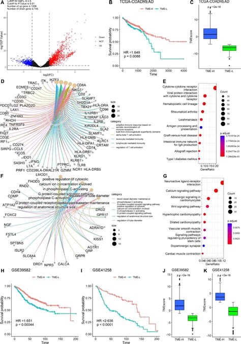 Construction Of The Tme Signature And Functional Annotation A