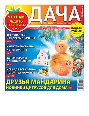 Дача №24 декабрь - 2022 ♦ Читать журнал на zhurnala.ru