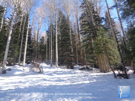 9 Things To Do This Winter In Flagstaff Arizona