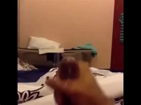 Me Jacking Off My Big Dick 1 XVIDEOS