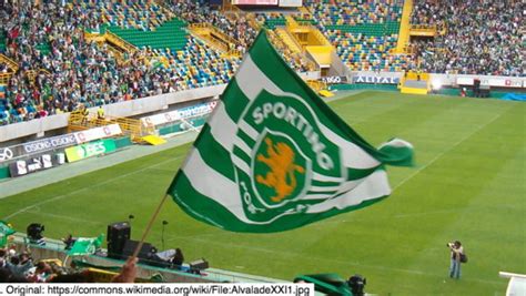 Questions Remain Over Iaaf Differences Of Sex Development Regulations