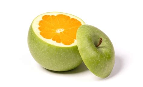 apple  orange  images stock   objects