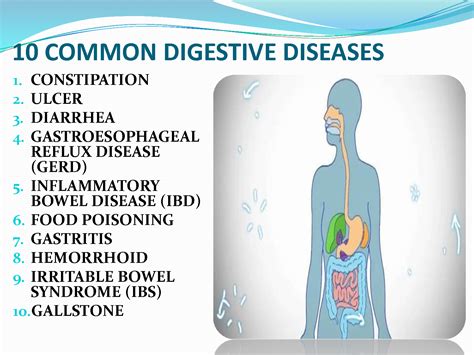 Solution Digestive Diseases Ppt Aljamien Badsigan Studypool