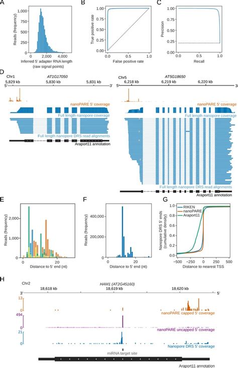 Figures And Data In Nanopore Direct Rna Sequencing Maps The Complexity