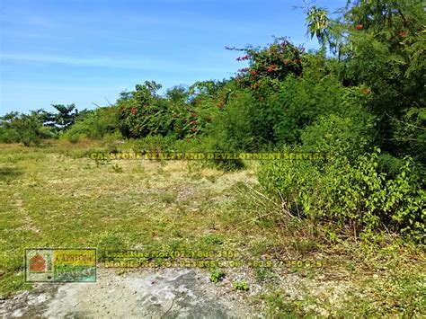 Titled Beach Lot For Sale Bacnotan La Union Capstone Realty