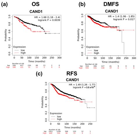 bioinformatics analysis   prognostic significance  cand  era