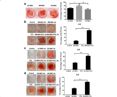 Comparison Of The Osteogenic Differentiation Potency Among Three Kinds Download Scientific