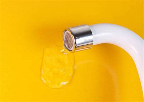 Inflamações na vulva e na vagina saiba como ocorre e qual é o tratamento Pais e Filhos